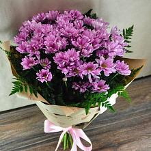 Букет цветов из:  Хризантемы #REPLACE_PRED# Целеево