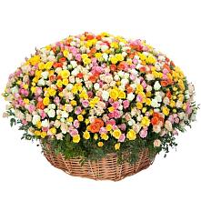 Премиум букет из: Розы #REPLACE_PRED# Целеево