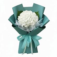 Букет цветов из:  Гортензия #REPLACE_PRED# Целеево